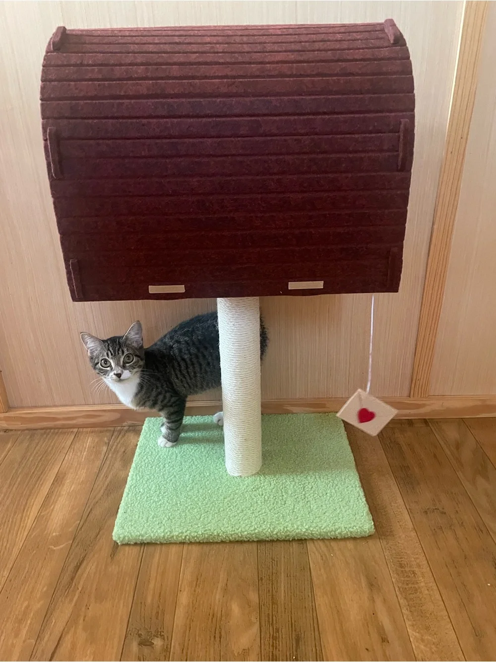 Mailbox Cat Scratcher - Green Base, Brown Mailbox